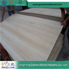 Export Spanien hochwertige Paulownia Coffin Panel